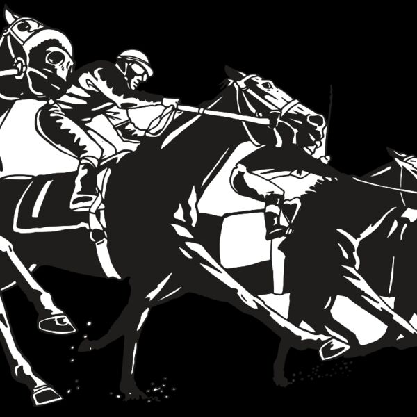 AR EQUEST 13 RC Thumbnail