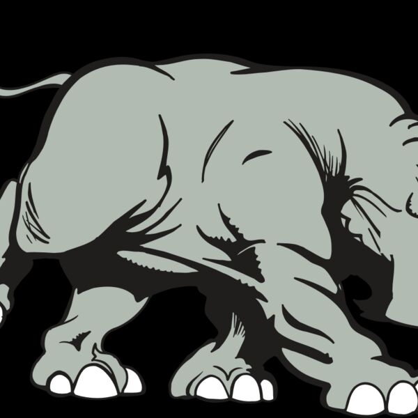 AR5 Rhino 16 RQC Thumbnail